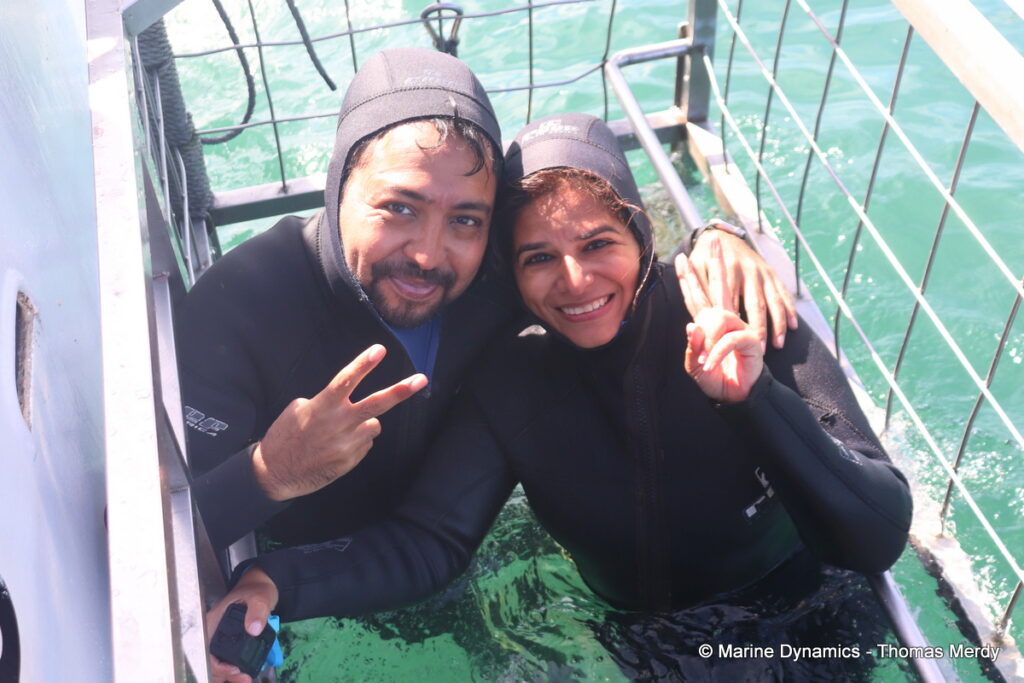 Shark cage diving, South Africa, Gansbaai