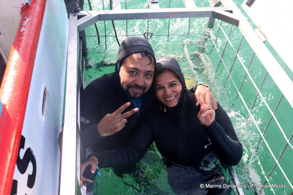 Shark cage diving, South Africa, Gansbaai