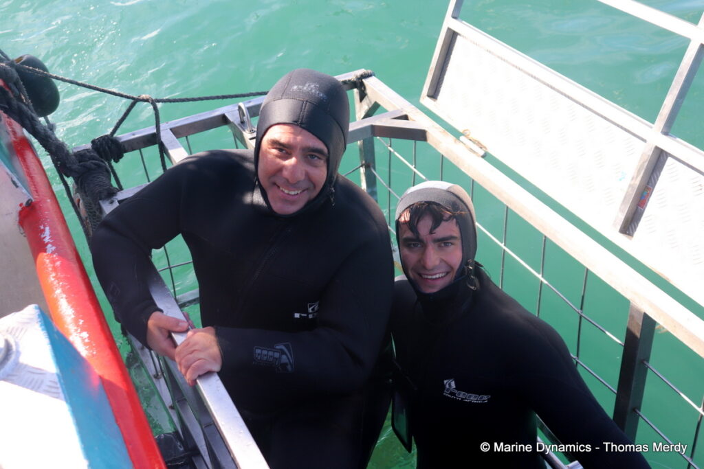 Shark cage diving, South Africa, Gansbaai