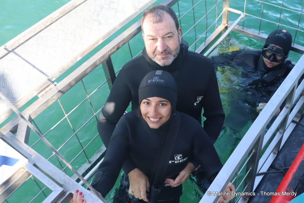 Shark cage diving, South Africa, Gansbaai