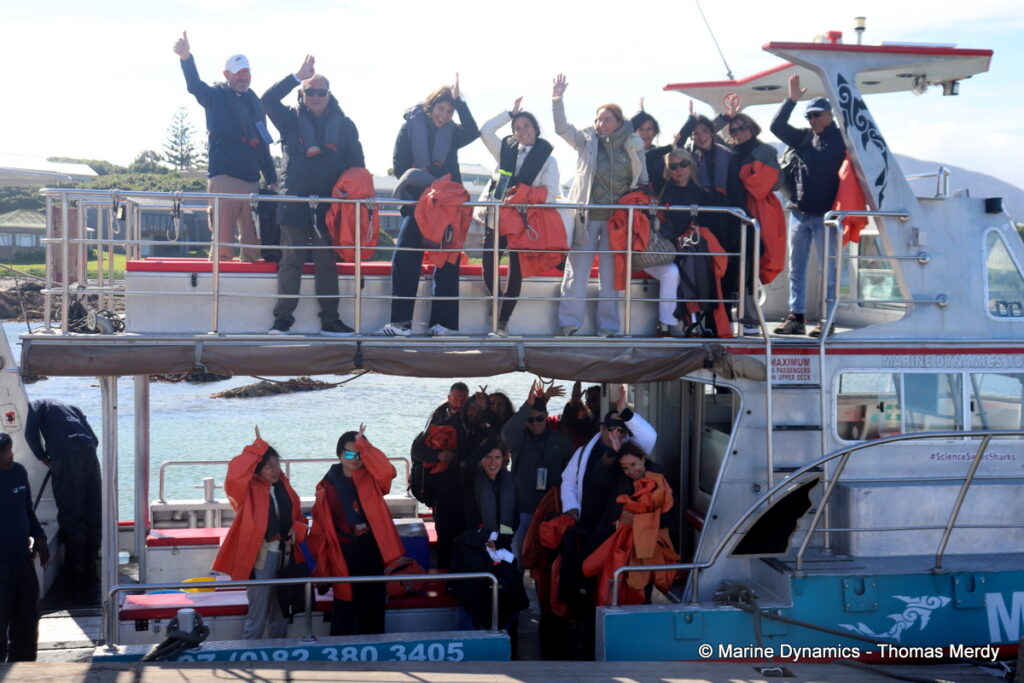 Shark cage diving, South Africa, Gansbaai