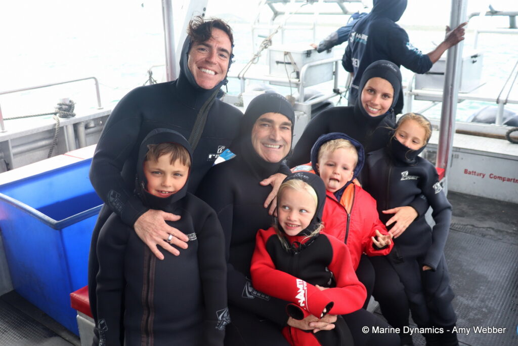Shark cage diving, Gansbaai, South Africa