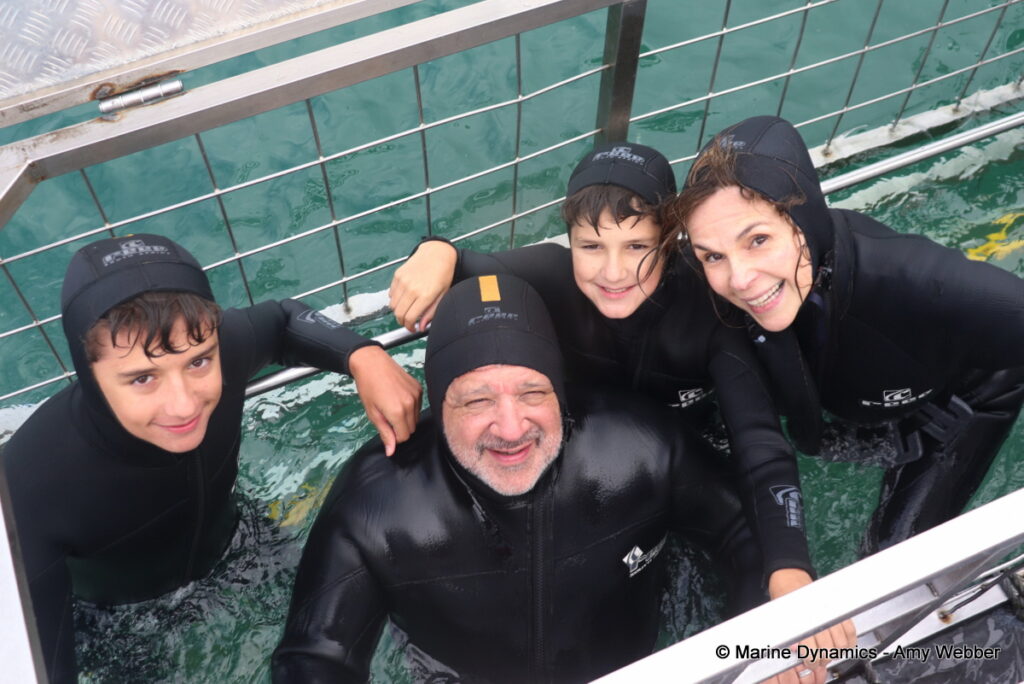 Shark cage diving, Gansbaai, South Africa