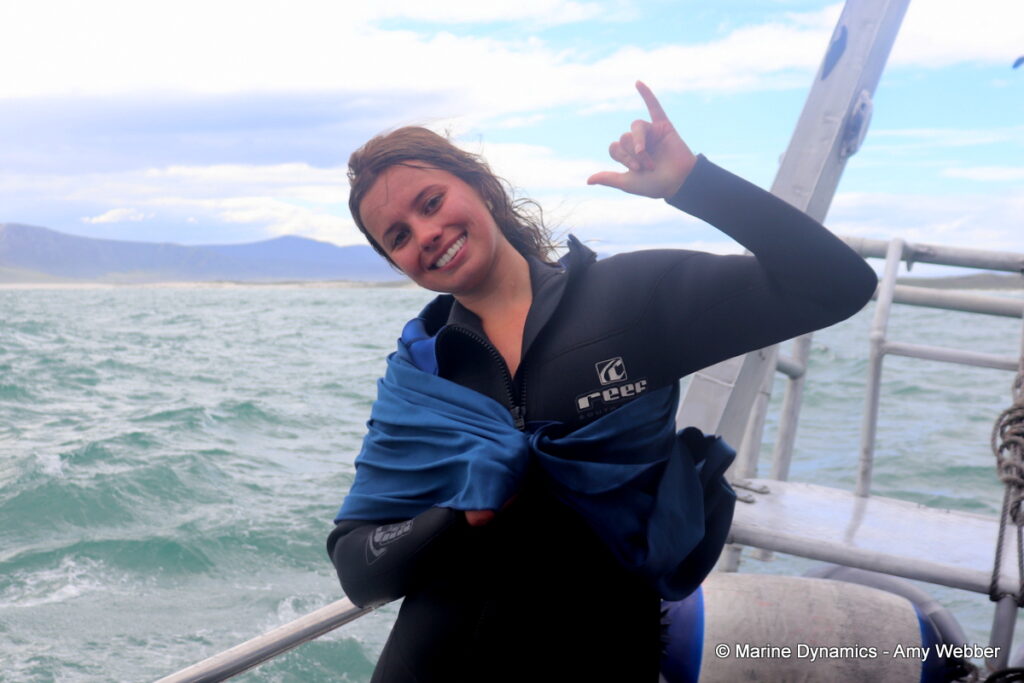 Shark cage diving, Gansbaai, South Africa