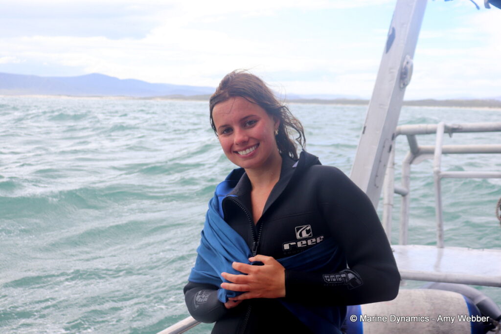 Shark cage diving, Gansbaai, South Africa