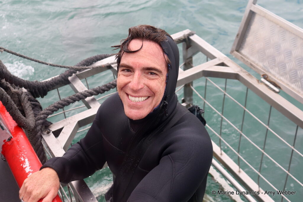 Shark cage diving, Gansbaai, South Africa