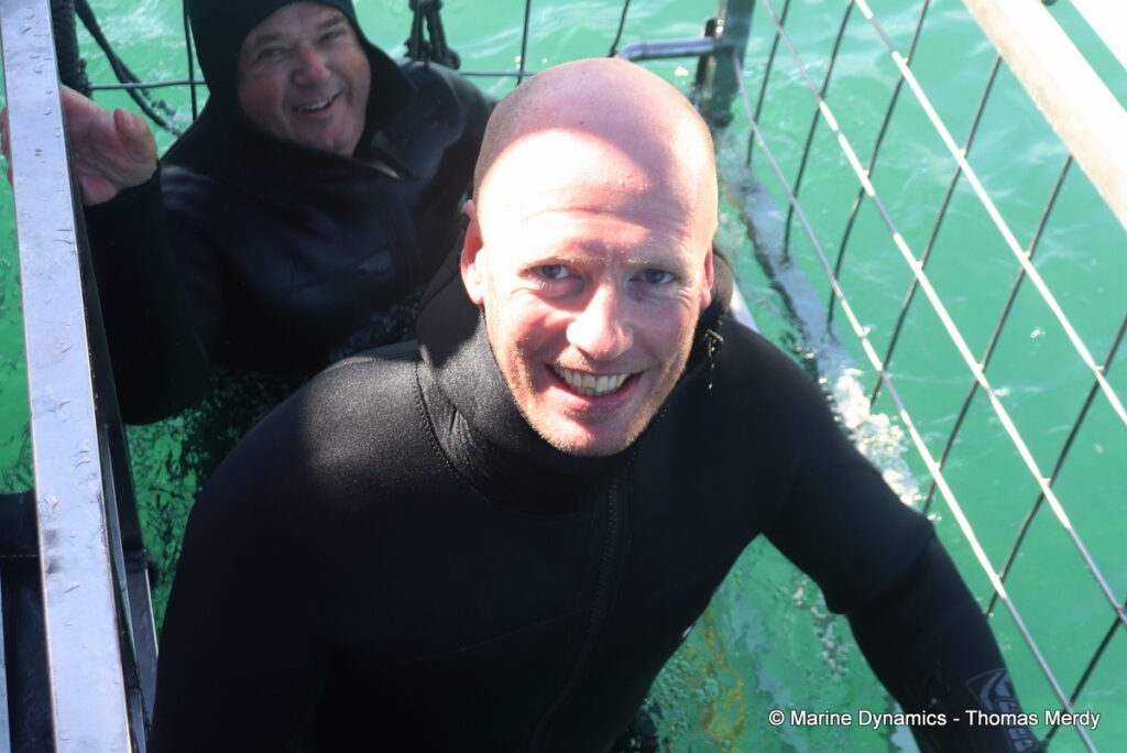Shark cage diving, South Africa, Gansbaai