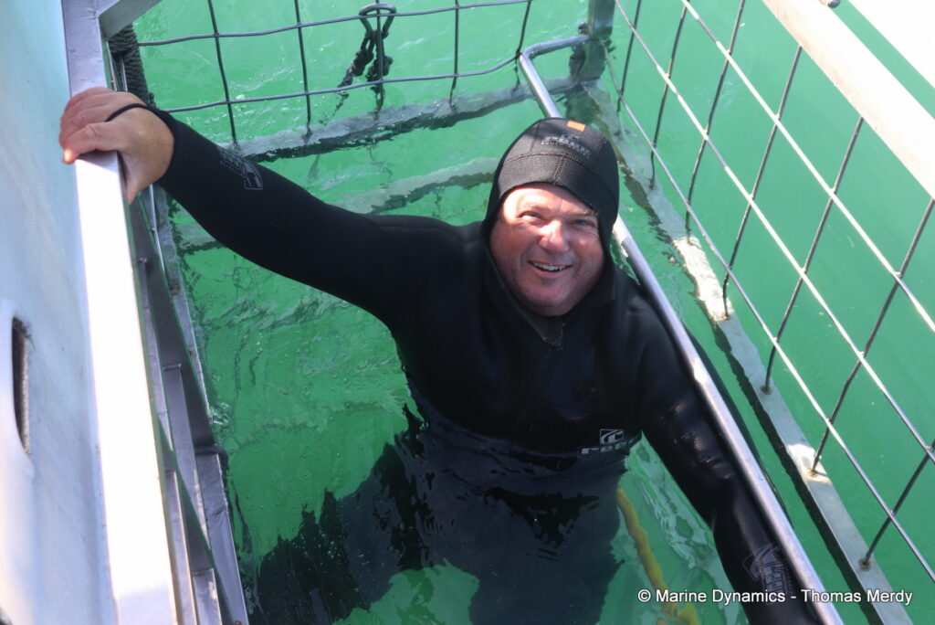 Shark cage diving, South Africa, Gansbaai