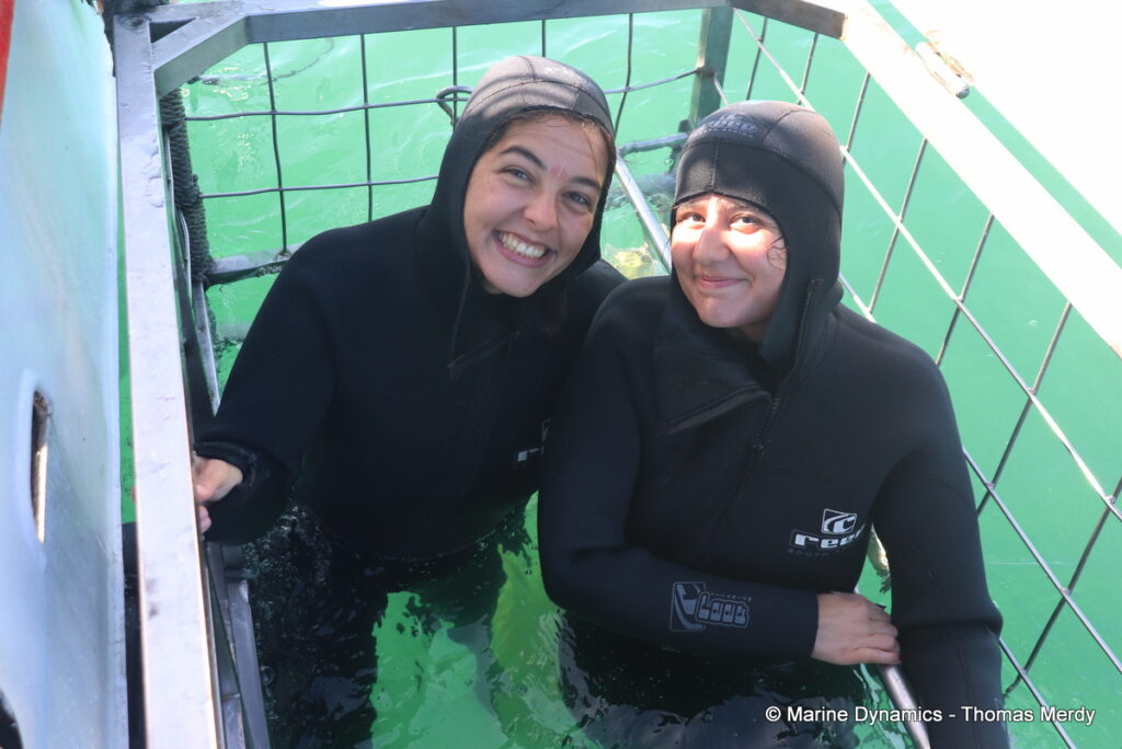 Shark cage diving, South Africa, Gansbaai