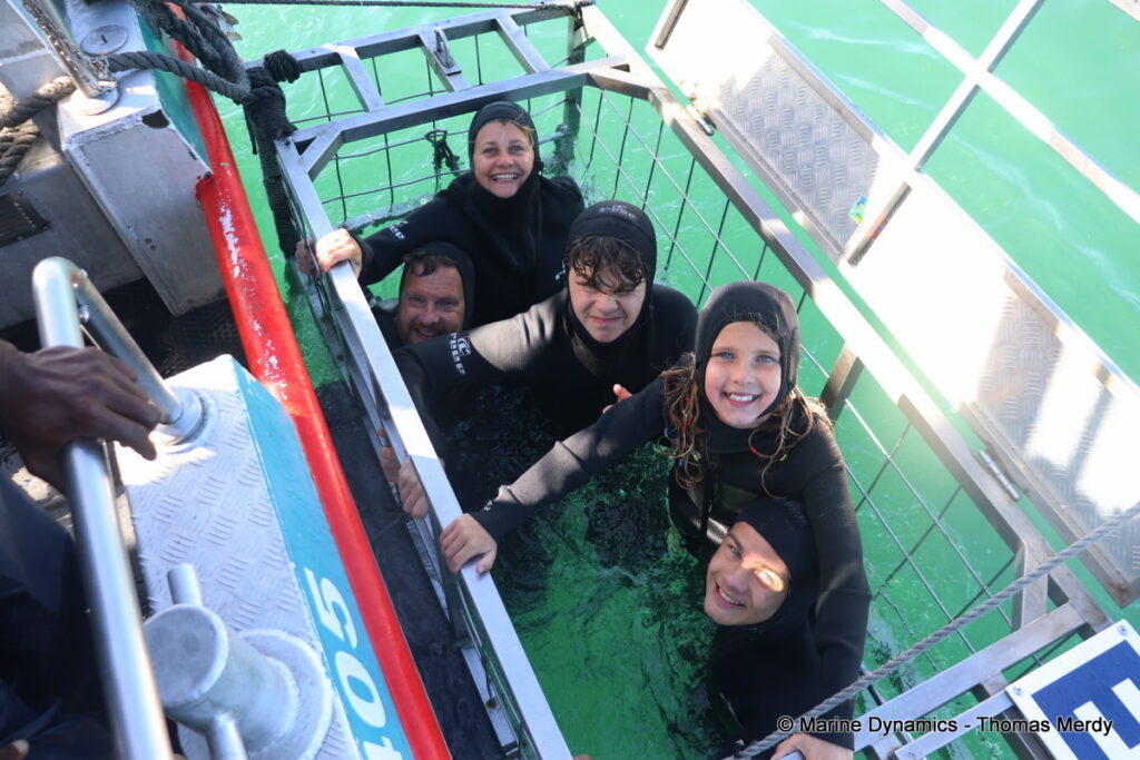 Shark cage diving, South Africa, Gansbaai