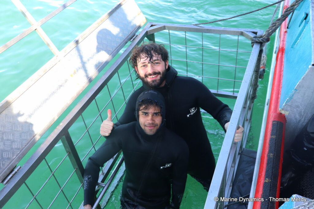 Shark cage diving, South Africa, Gansbaai