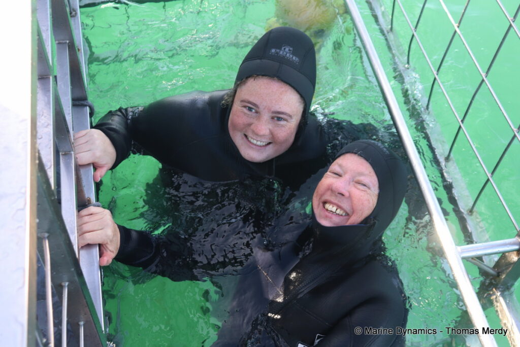 Shark cage diving, South Africa, Gansbaai