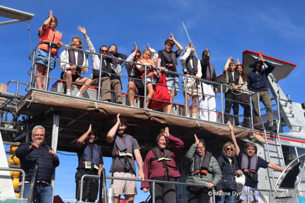 Shark cage diving, South Africa, Gansbaai