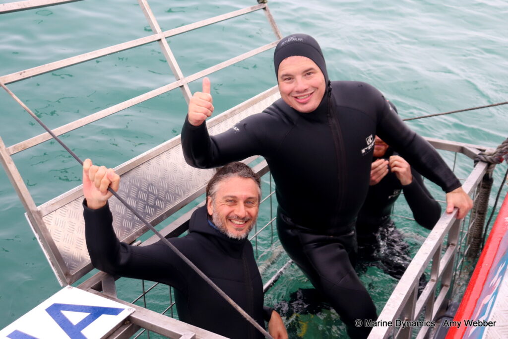 Shark cage diving, Gansbaai, South Africa