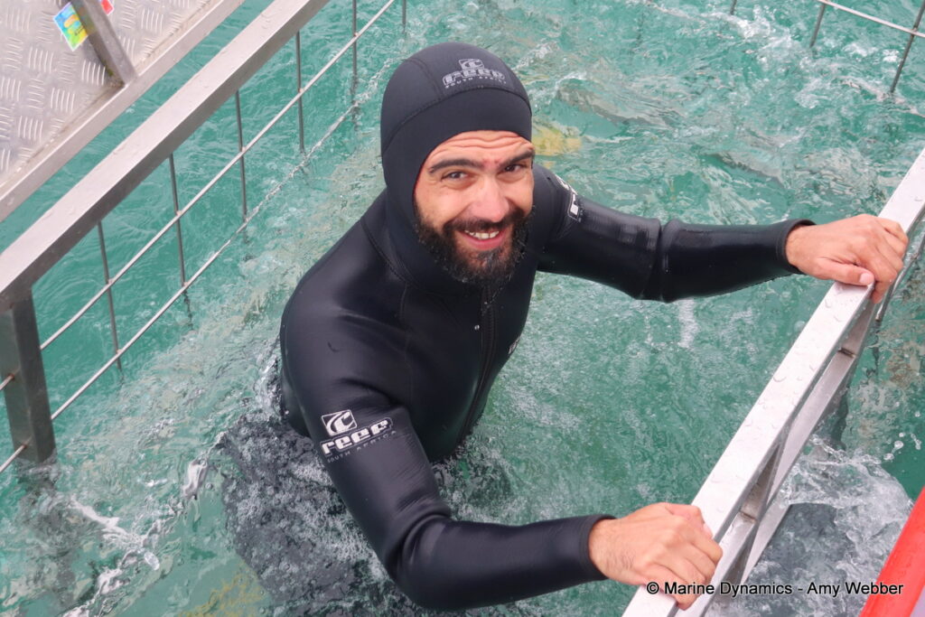 Shark cage diving, Gansbaai, South Africa