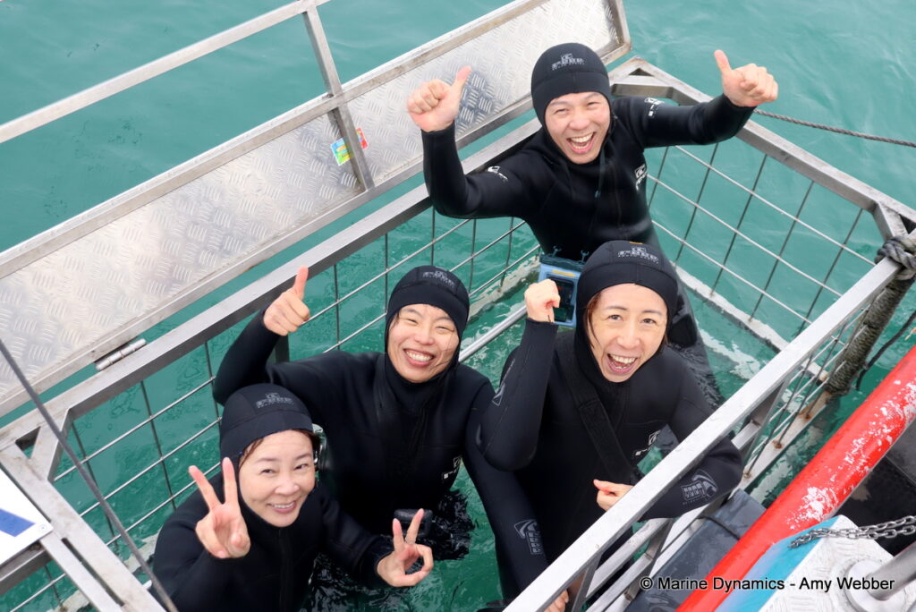 Shark cage diving, Gansbaai, South Africa
