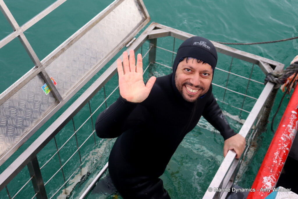 Shark cage diving, Gansbaai, South Africa