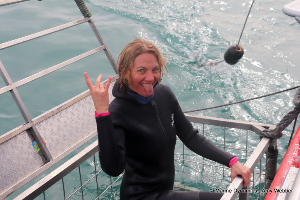 Shark cage diving, Gansbaai, South Africa