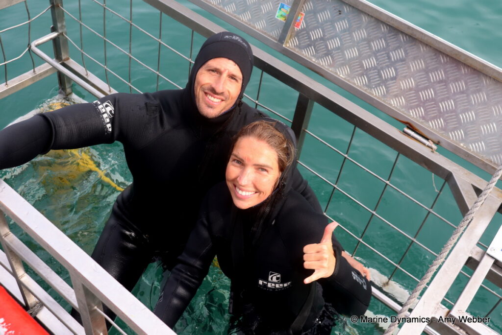 Shark cage diving, Gansbaai, South Africa