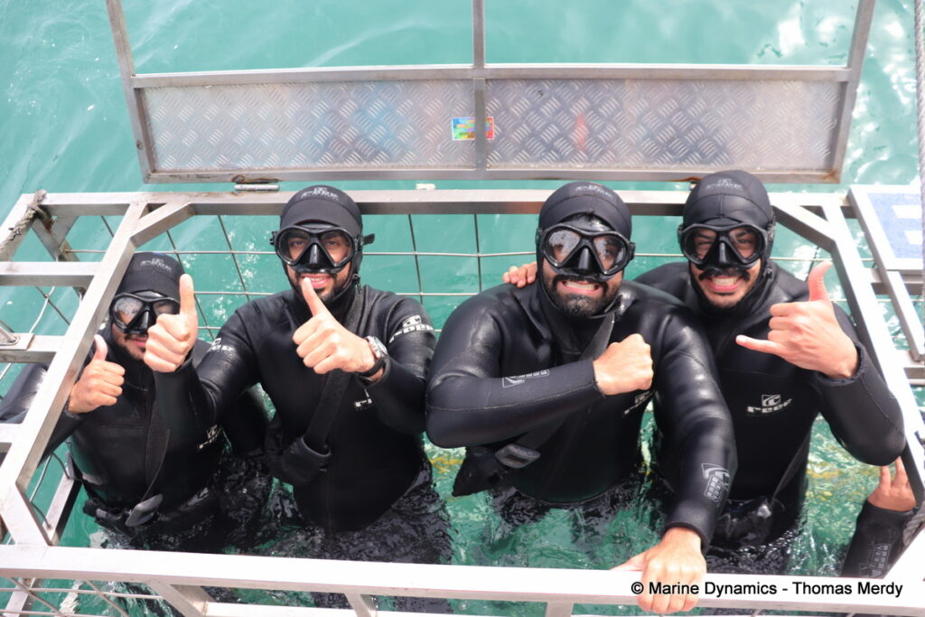 Shark cage diving, South Africa, Gansbaai