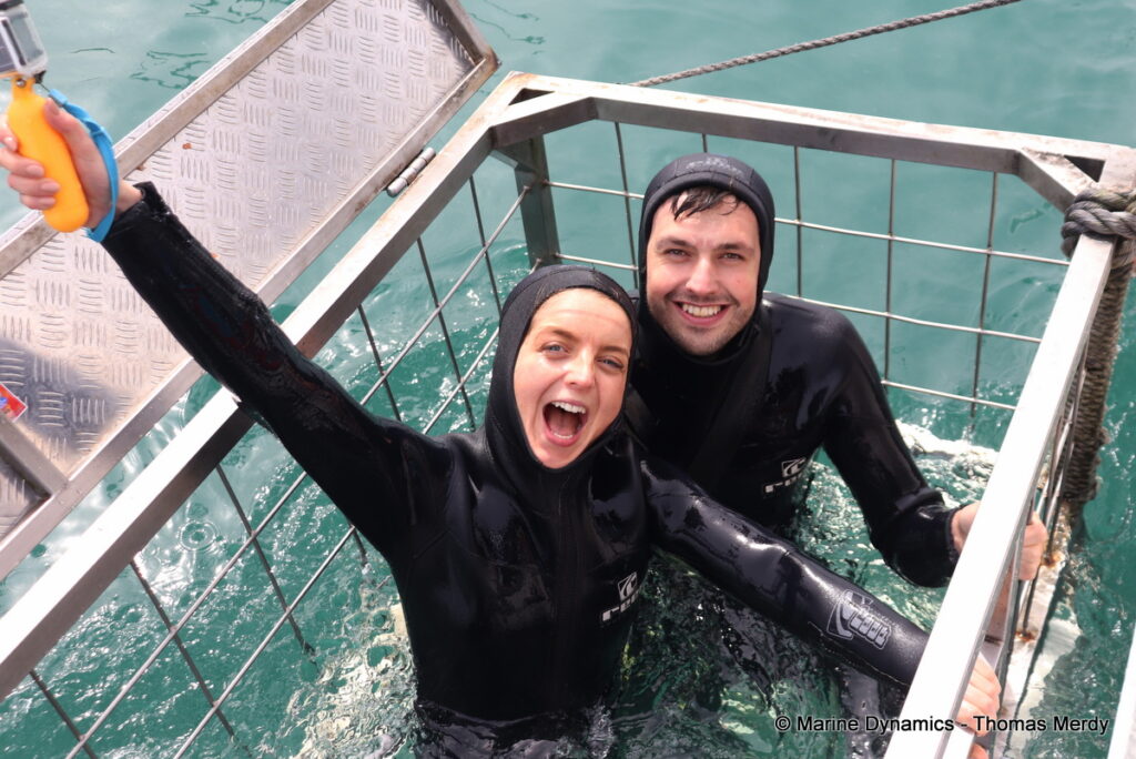 Shark cage diving, South Africa, Gansbaai