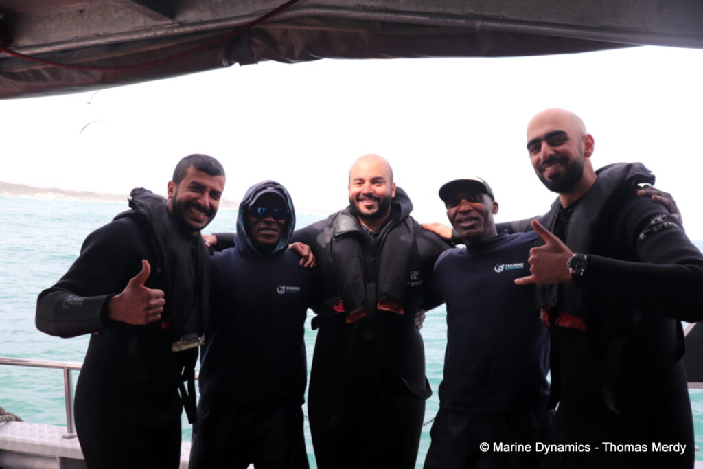 Shark cage diving, South Africa, Gansbaai