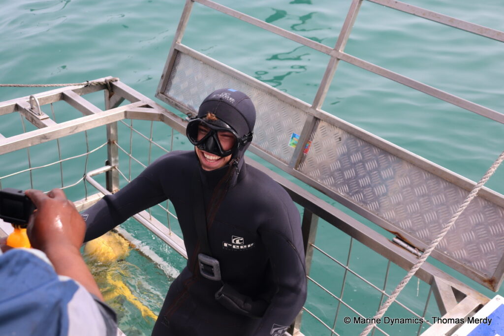 Shark cage diving, South Africa, Gansbaai