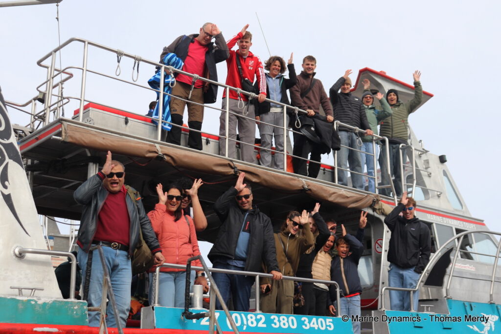 Shark cage diving, South Africa, Gansbaai