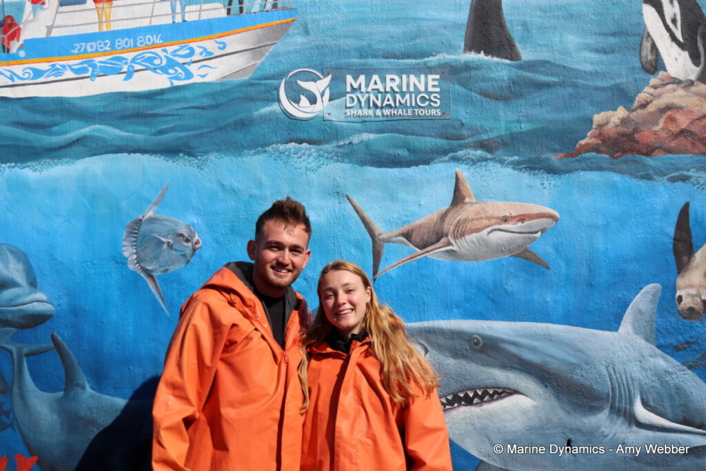 Shark cage diving, Gansbaai, South Africa