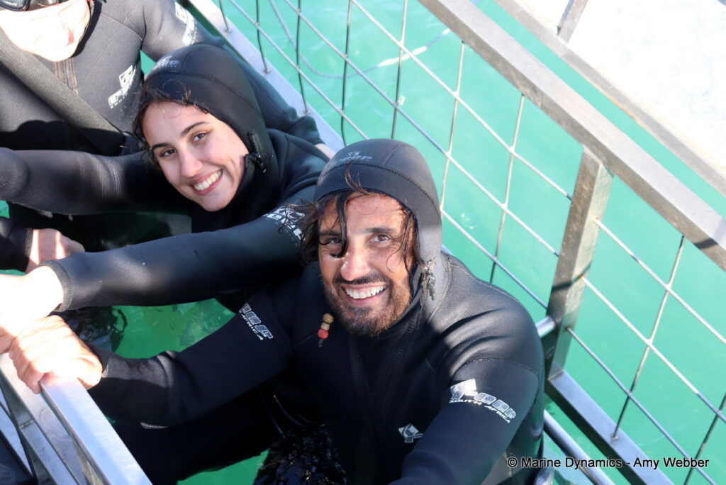 Shark cage diving, Gansbaai, South Africa