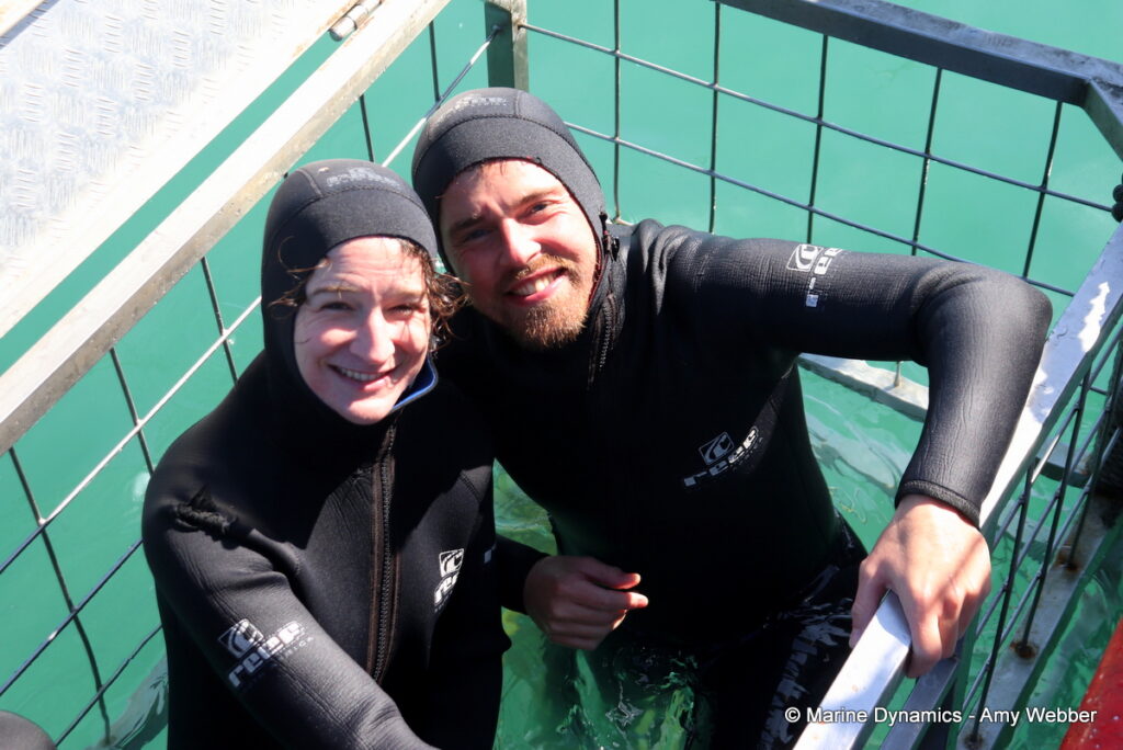 Shark cage diving, Gansbaai, South Africa