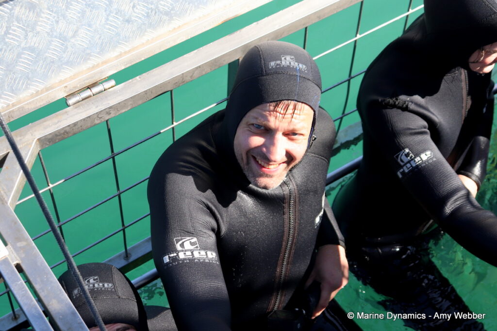 Shark cage diving, Gansbaai, South Africa