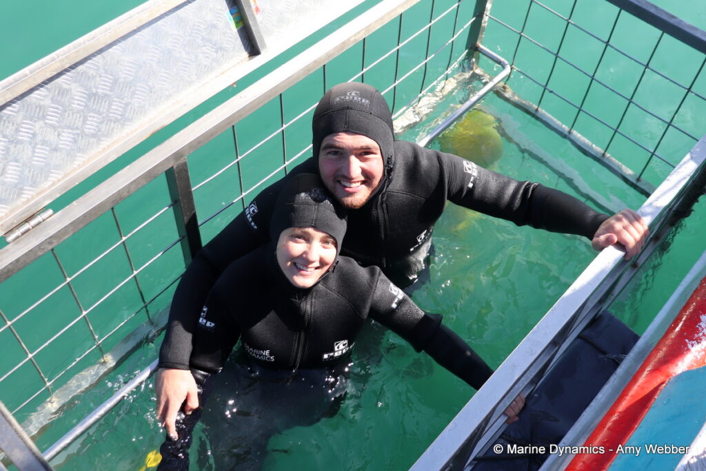 Shark cage diving, Gansbaai, South Africa
