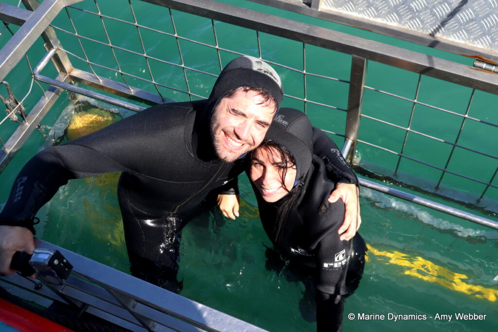 Shark cage diving, Gansbaai, South Africa