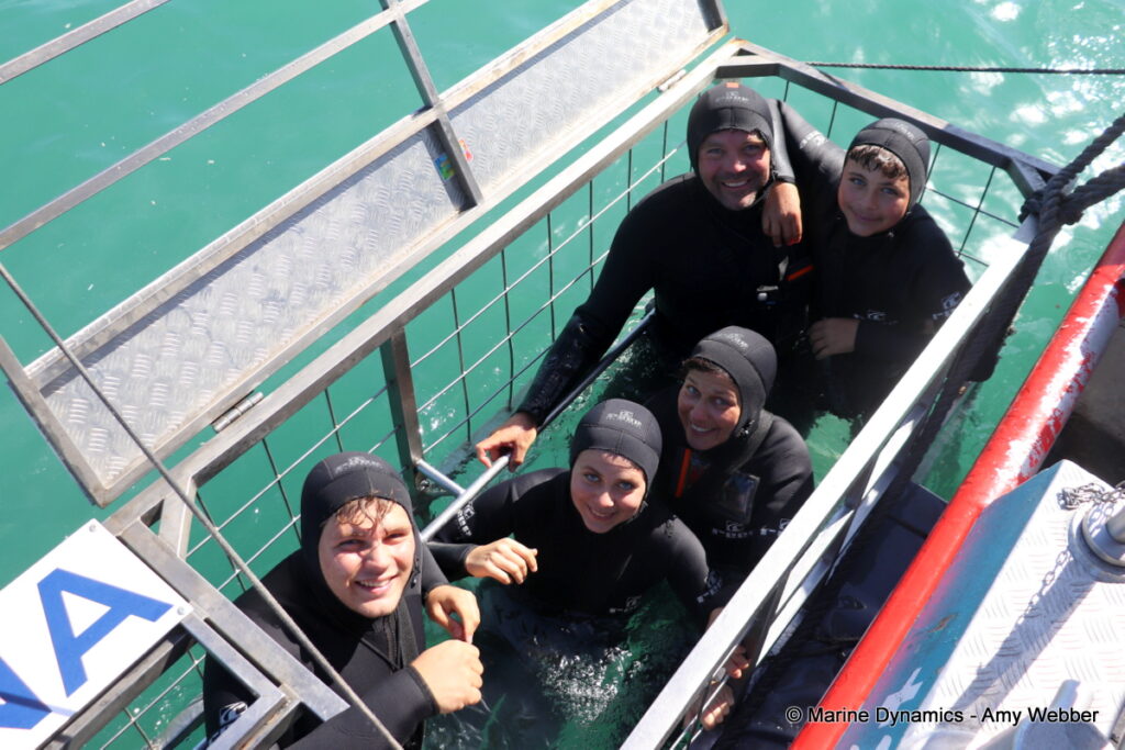 Shark cage diving, Gansbaai, South Africa