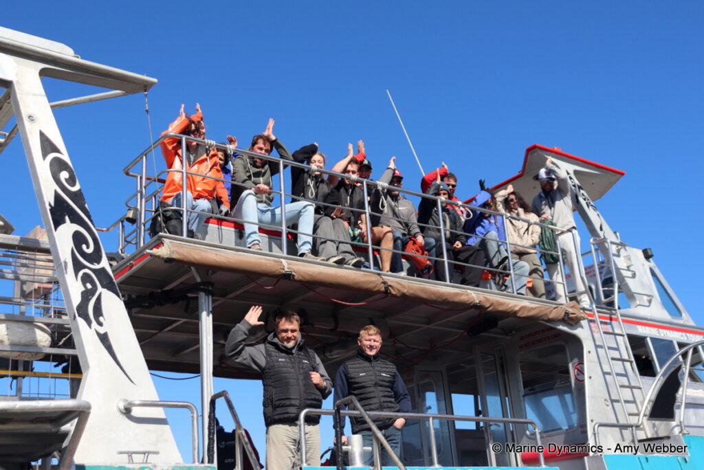 Shark cage diving, Gansbaai, South Africa
