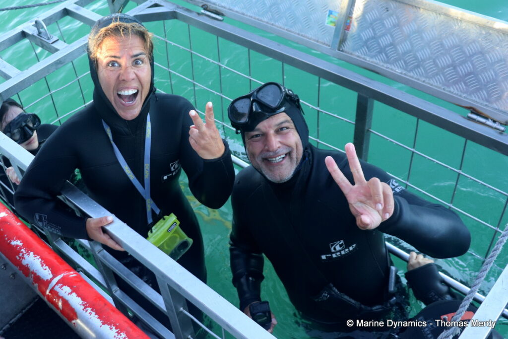 Shark cage diving, Gansbaai, South Africa