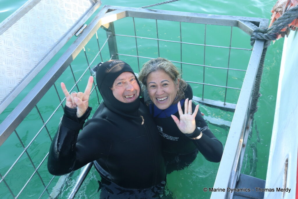 Shark cage diving, Gansbaai, South Africa