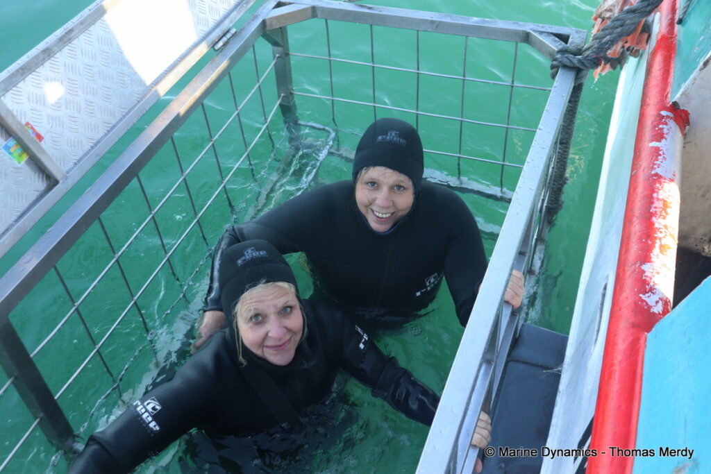 Shark cage diving, Gansbaai, South Africa