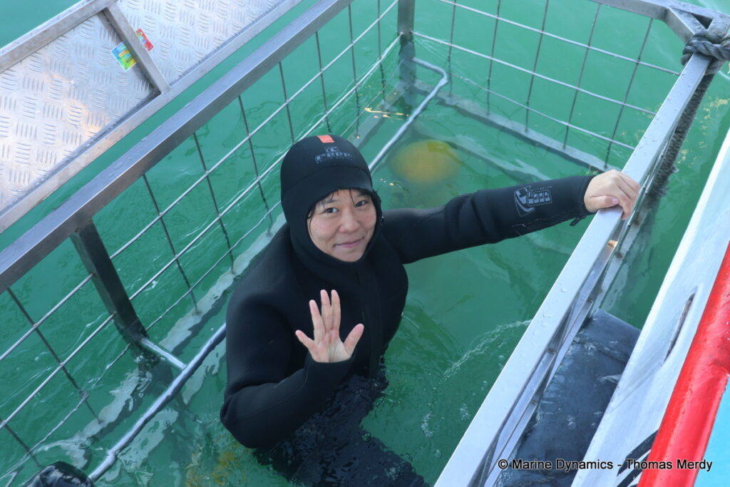 Shark cage diving, Gansbaai, South Africa