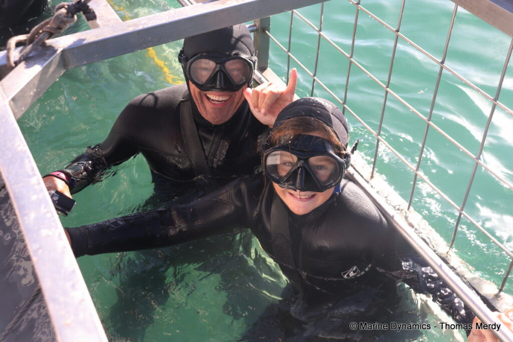 Shark cage diving, Gansbaai, South Africa