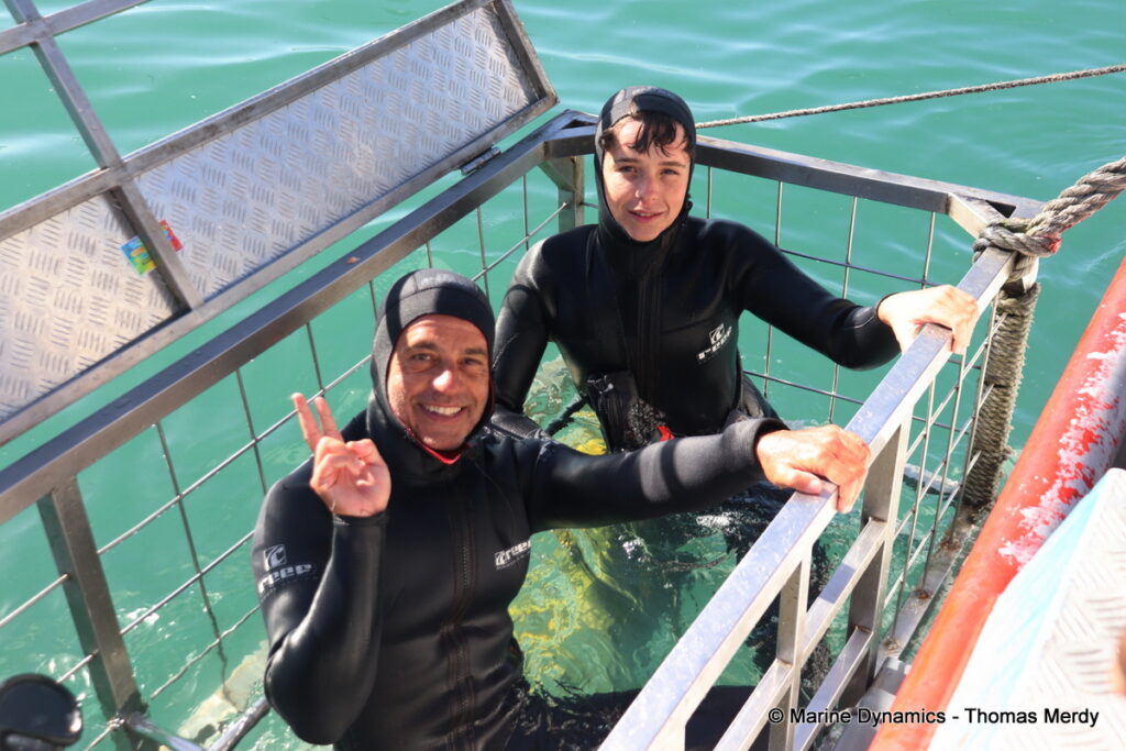 Shark cage diving, Gansbaai, South Africa