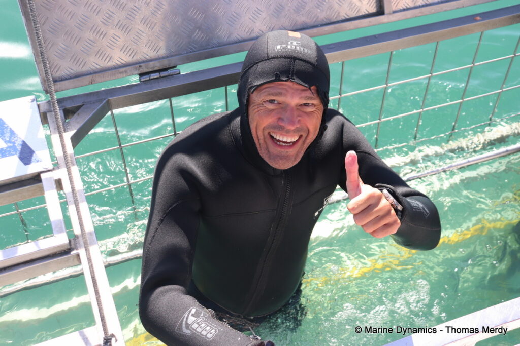 Shark cage diving, Gansbaai, South Africa