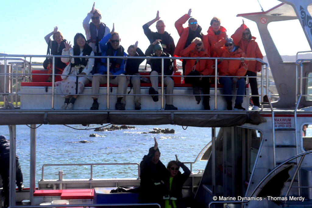 Shark cage diving, Gansbaai, South Africa