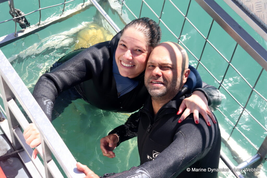 Shark cage diving, Gansbaai, South Africa
