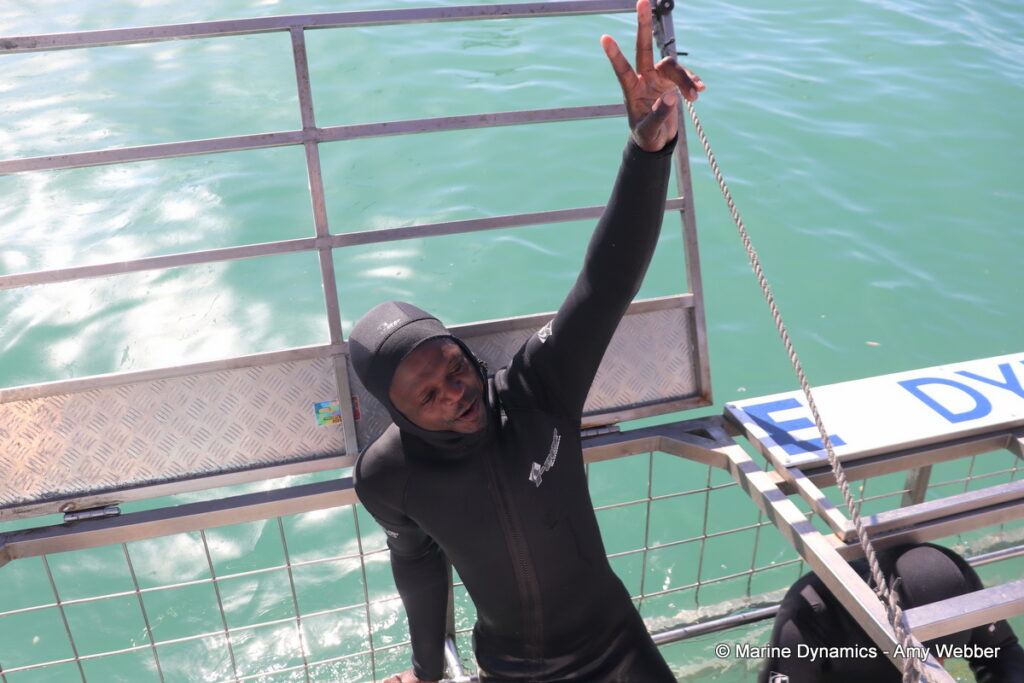 Shark cage diving, Gansbaai, South Africa