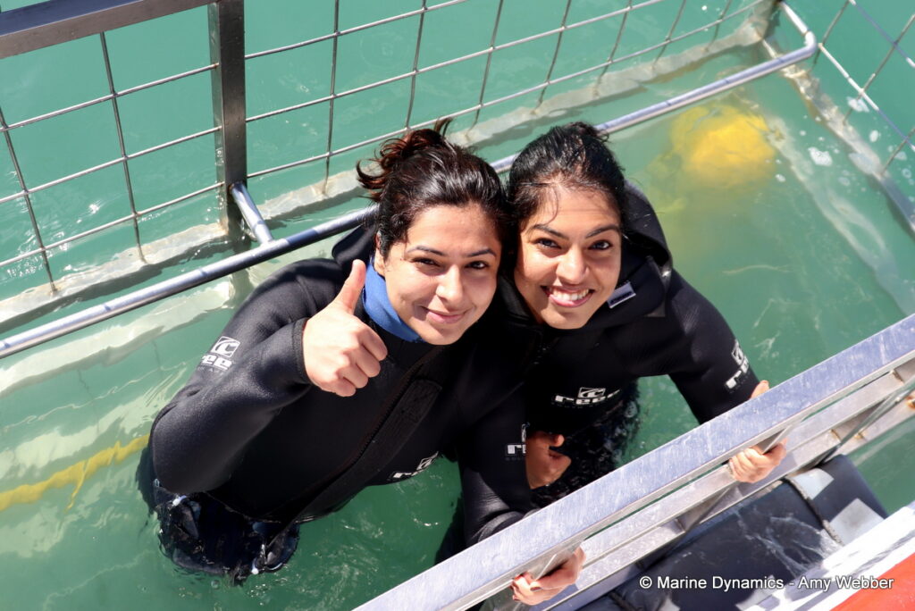 Shark cage diving, Gansbaai, South Africa