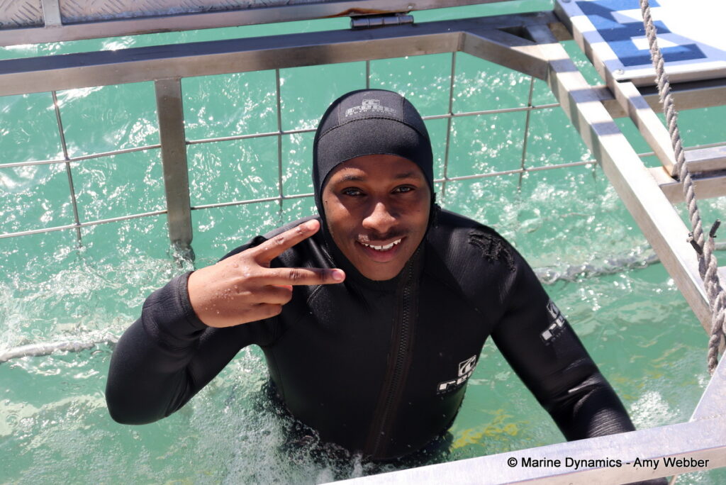 Shark cage diving, Gansbaai, South Africa