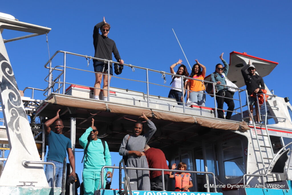 Shark cage diving, Gansbaai, South Africa