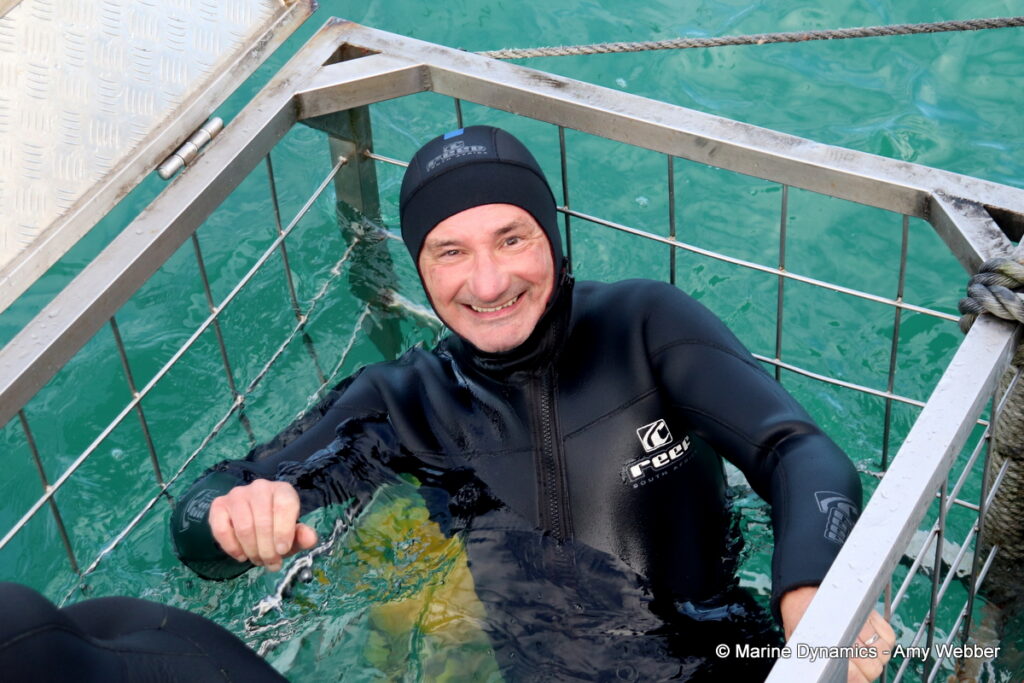 Shark cage diving, Gansbaai, South Africa
